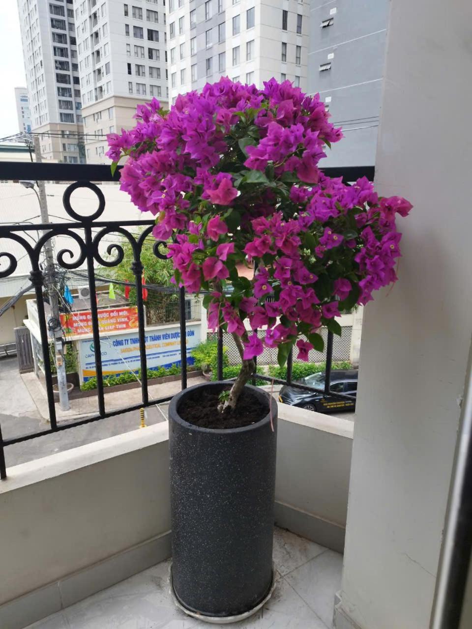 7 Apartment Hô Chi Minh-Ville Extérieur photo